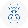 Ant Removals In New Milton