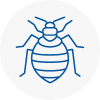 Bed Bug Extermination In New Milton