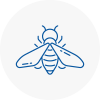 Bee Nest Removal New Milton