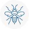 New Milton Hornet Nest Removals