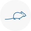 Mice Exterminators In New Milton
