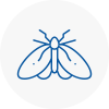 Moth Control Specialists In New Milton
