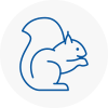 New Milton Rodent Removals